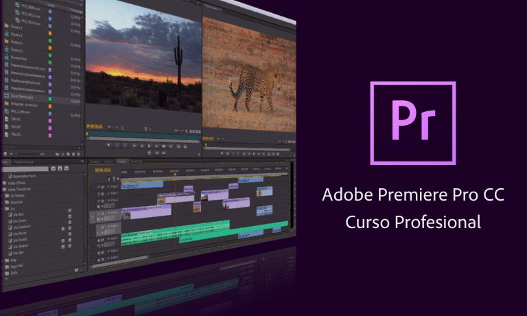 En este momento estás viendo Curso Adobe Premier