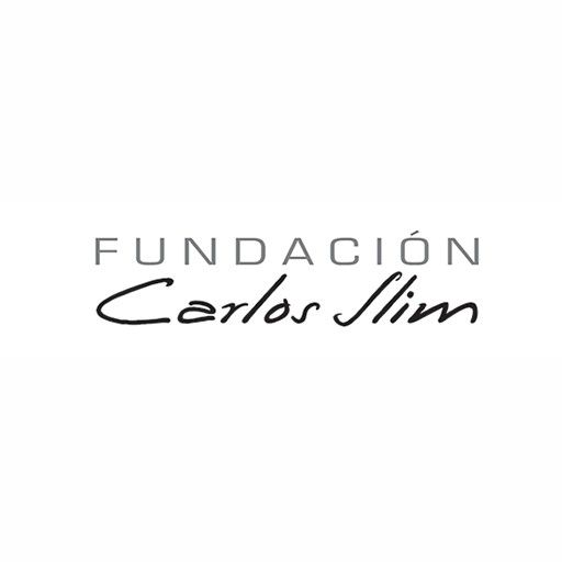 En este momento estás viendo Curso Fundación Carlos Slim