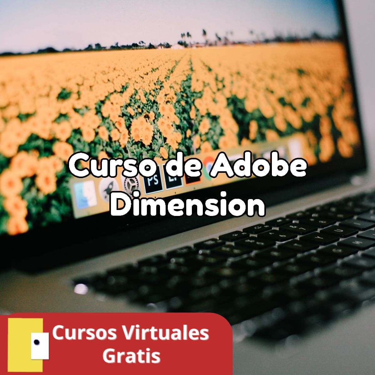 Lee más sobre el artículo Curso de Adobe Dimension