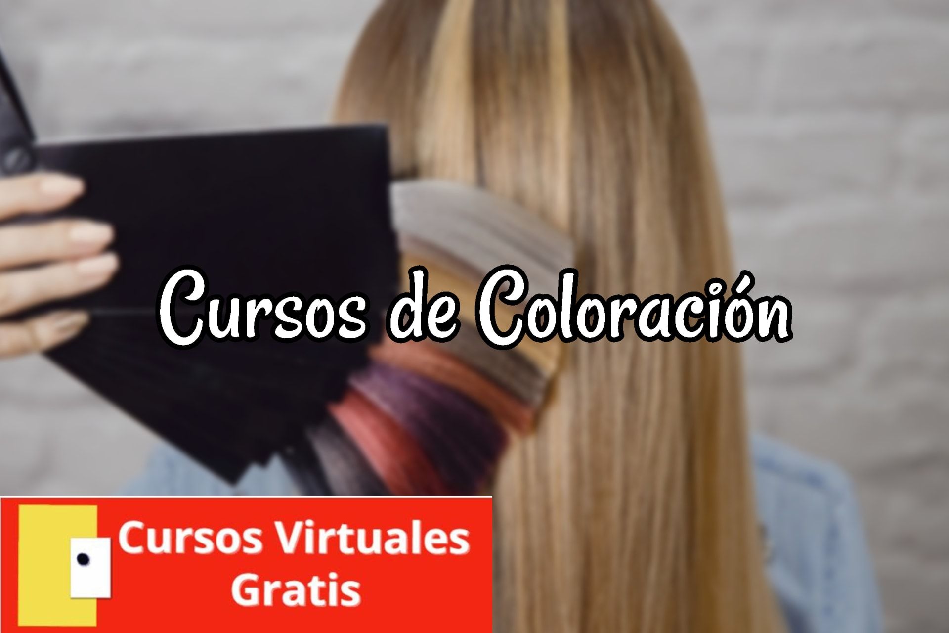 Lee más sobre el artículo Cursos de Coloración