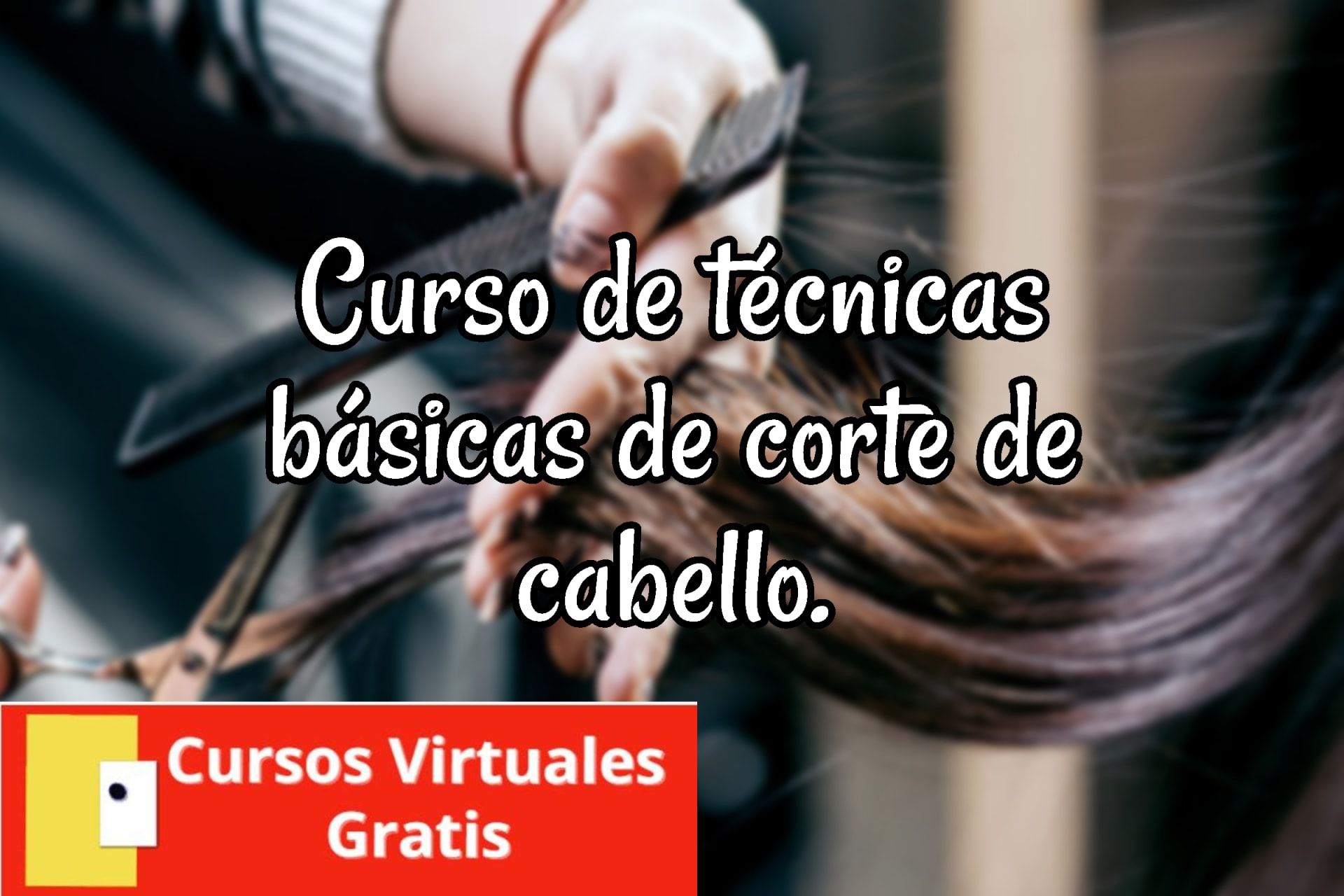 Lee más sobre el artículo Curso de Técnicas de Corte de Cabello