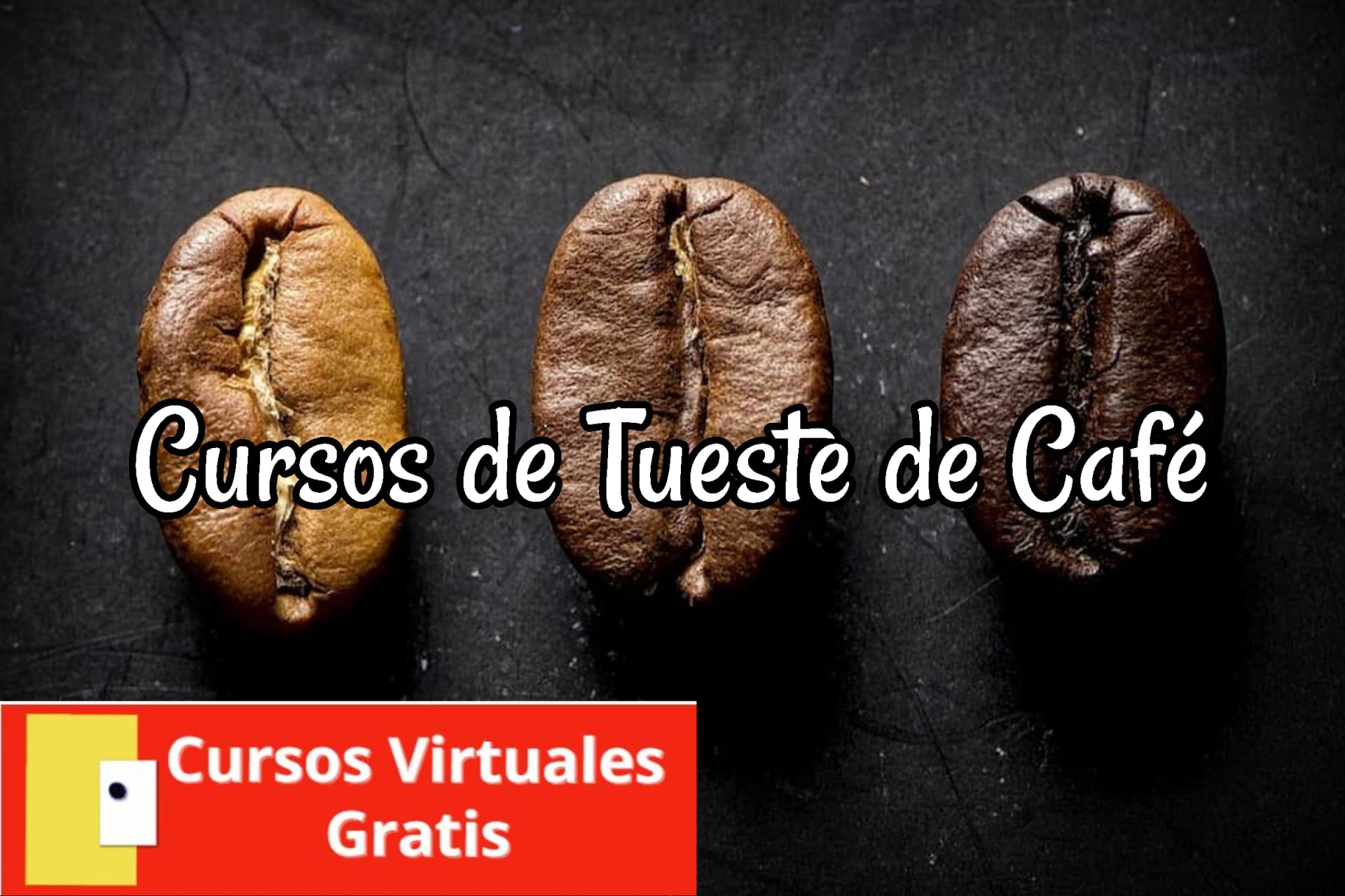 Lee más sobre el artículo Cursos de Tueste de Café