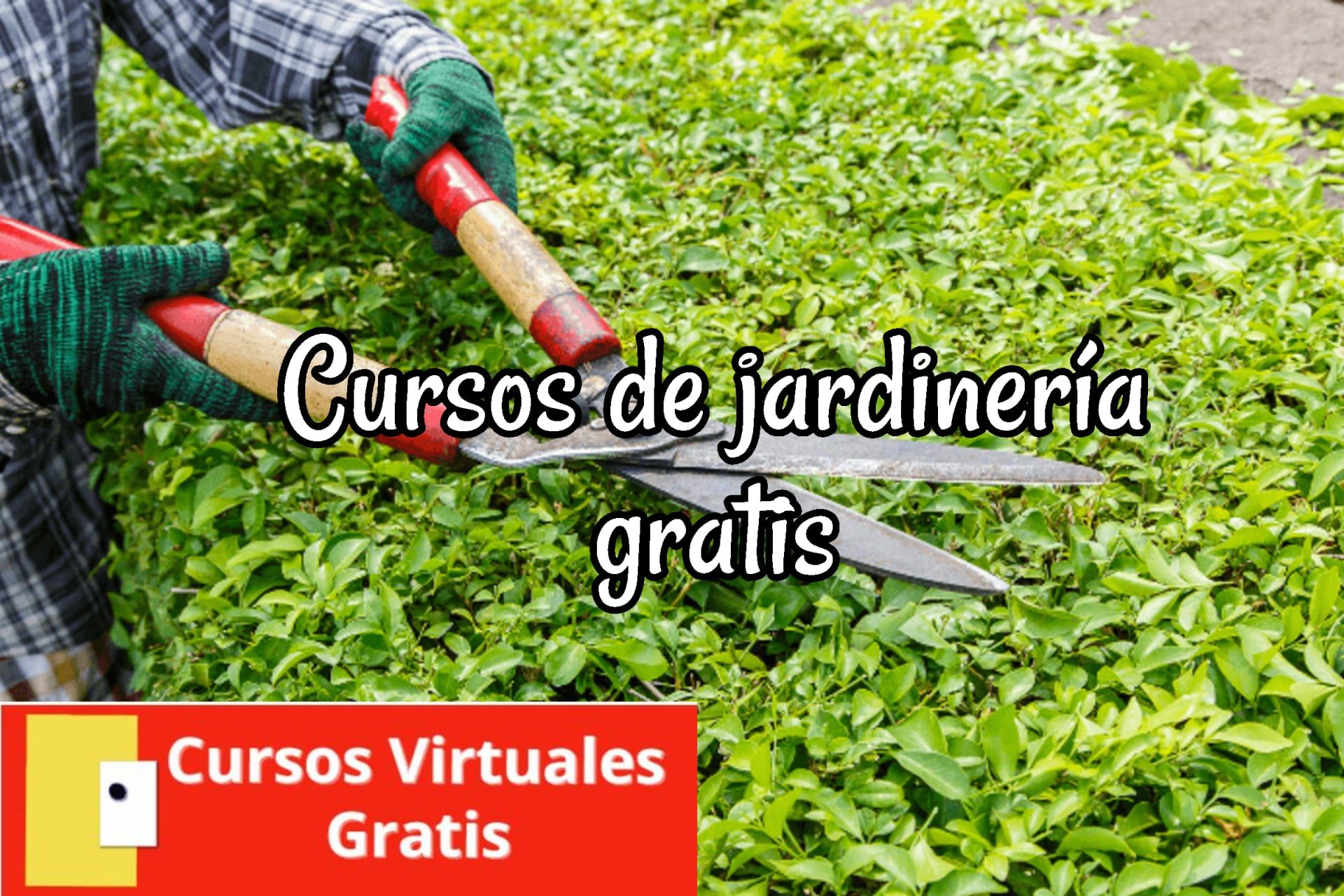 Lee más sobre el artículo Cursos de jardinería gratis